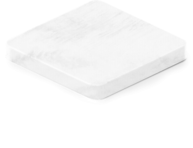 shell-top copy